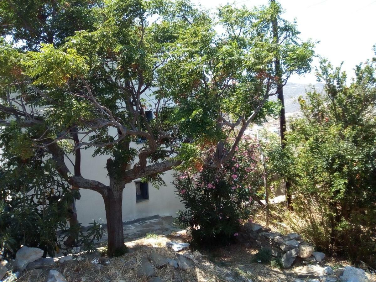 Arthome1 Panormos (Tinos)